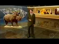 Download Lagu Globo Repórter - África do Sul 17/05/2002