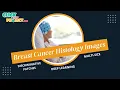 Matalb Image Processing Project Classification of Breast Cancer Histology Images ClickMyProject