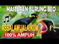 Download Lagu MASTERAN BURUNG BEO ASSALAMUALAIKUM FULL 1 JAM 🐦👍