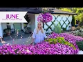 Download Lagu The Garden has EXPLODED with Blooms! June Front Garden Tour 🌸 California Zone 9 Garden