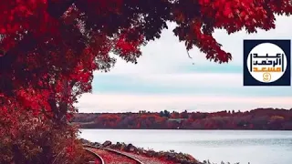 القارئ عبدالرحمن مسعد و ل ا ت ج اد ل وا أ ه ل ال ك ت اب إ ل ا ب ال ت ي ه ي أ ح س ن 