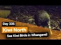 Download Lagu 🗺️ Kiwi House in Whangarei (Kiwi North) – New Zealand's Biggest Gap Year – Best New Zealand Guide