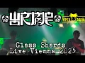 Download Lagu Wormrot - Glass Shards - Live Viper Room Vienna 2025