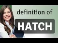 Hatch what is HATCH definition