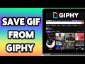 How To Save GIF From Giphy 2025 Download Giphy GIFs To Your Device