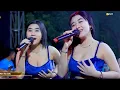 Lagu BAWANG MERAH - DINI ELSIA SOGOK - DEWANADA MUSIC - RENA AUDIO TERBARU 2025 LIVE TARIK SIDOARJO 