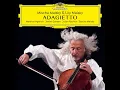 Schumann: Piano Quartet in E Flat Major, Op. 47: 3. Andante cantabile (Live)