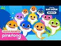 Download Lagu Bayi Hiu, Lagi dan Lagi | Baby Shark Month Spesial | Pinkfong Indonesia