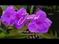 Download Lagu story wa hari jumat berkah||status wa lagu islamiah terbaru[30detik]