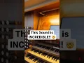 Download Lagu You NEVER heard an Organ sound like THIS! 🤯 #organ #birds #music #musician #church