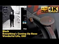 Lagu Black - Everything's Coming Up Roses (Wonderful Life), 1987, Vinyl video 4K, 24bit/96kHz