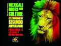cultura profetica-la noche vibra