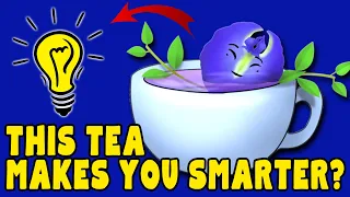 12 amazing benefits of blue butterfly pea tea blue ternate aparajita flower tea blue tea