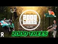 Download Lagu 2000 Trees Festival 2025