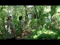 Homeless people trash a home in Hudson
