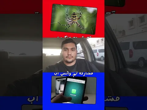 تحدي لو خيروك نسخه الوجبه الغامضه #shorts