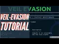Create undectectable payloads using Veil-Evasion