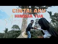 Download Lagu Amyla - Cintai Aku Hingga Tua [ Official Music Video ]