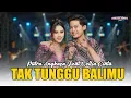Lagu TAK TUNGGU BALIMU - CELLIA CINTA FT PUTRA ANGKASA | CELLIA MUSIC 