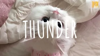 Thunder (remix cute) - DJ Tebang (Vietsub + Lyric)