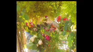 مقالة عند موتي لن اقلق 