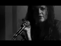 The Dead Weather - No Horse (Live from Third Man Records)