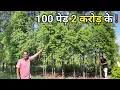 Download Lagu चंदन की खेती से किसान बनेगा मालामाल ? | Sandalwood Tree Farm | Sandalwood Farming