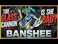 Warframe - Why Players HATE Banshee In Warframe