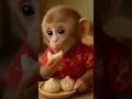 Download Lagu https://youtube.com/shorts/vf3pt6RZaRw?si=eieKRiEgHEp4brnh🐒🙉🐵