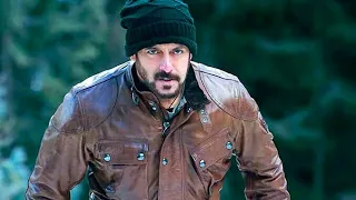 Tiger Vs Wolf Salman Khan Tiger Zinda Hai  Tiger Vs Wolf Salman Khan Tiger Zinda Hai