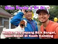 Download Lagu Di Kasih Kambing Sama Mantan Bos Jepang, Gak Nyangka Mantan Bosku Sebaik itu