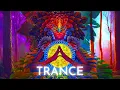 Download Lagu Shamanic Trance | Psychedelic Tribal \u0026 Viking Drum Music