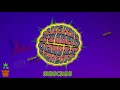 Slightly Stoopid | Don't Stop | BEST QUALITY | LYRICS KARAOKE VIDEO