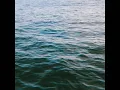 Download Lagu Fiji Blue - Waves