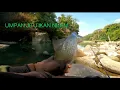 Download Lagu Cara Mudah Mancing Ikan Nilem di Sungai Progo, Umpan Jitu Ikan Nilem Liar
