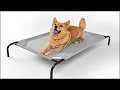 7 Amazing Dog Beds Sold On May 2022