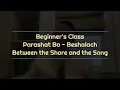Beginner's Class #43 | Parashat Bo - Beshalach: Between the Shore and the Song