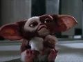 Gremlins 2 but only gizmo on the screen fixed Reuploaded