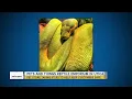 Pets and Things Reptile Emporium in Utica helping of cold-blooded pet owners