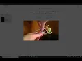 Transformations Dilation
