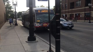 CTA All New NovaLFS Bus Route 81 Lawrence