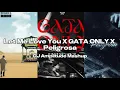 Let Me Love You X Gata Only X Peligrosa [DJ Amplitude Mashup]