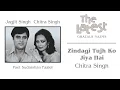 Download Lagu Zindagi Tujh Ko Jiya Hai - The Latest | Chitra Singh | Official Song