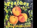 The Presidents of the USA - Peaches (HQ)