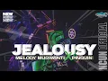 Lagu DJ JEALOUSY MELODI MUGWANTI X PINGUIN - NCUN OFFICIAL