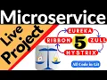 Microservices Project 5 Spring Boot Example for Eureka Feign Load Balancing Ribbon Client Example