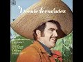 Hermoso Cariño - Vicente Fernández