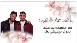 ملكة جمال الكون الشامي و تامر حسني بدون موسيقى دفوف فقط  دندنها