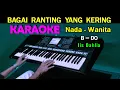 Download Lagu BAGAI RANTING YANG KERING - Iss Dahlia | KARAOKE Nada Wanita, HD