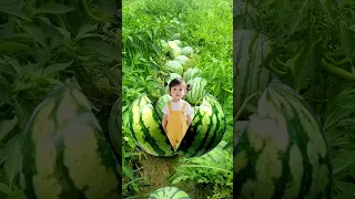 Https V Kuaishou Com Kyf7Vr6c This Work Has Been Played 2002 Times In Kwai 